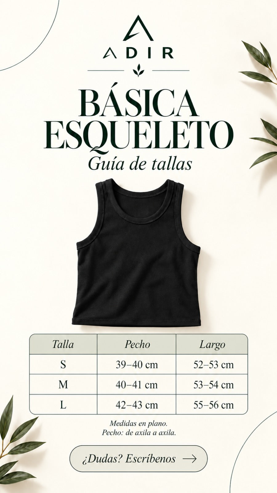 Básica Esqueleto ADIR